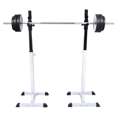 Vidaxl halter- en gewichtenstandaard