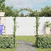 Vidaxl Garden Arches 2 PC