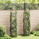 Vidaxl Garden Arch Towers 2 PC