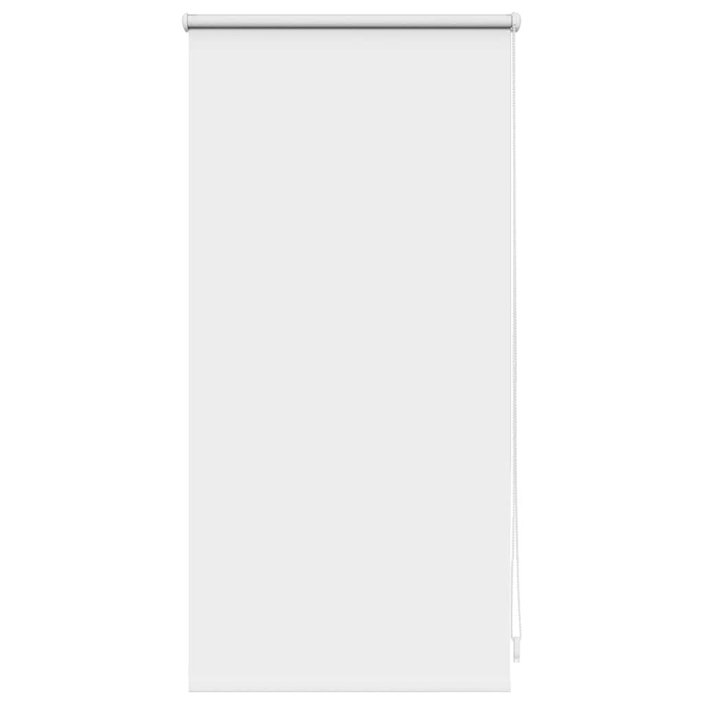 Vidaxl Roller Blind Drenging 40 x 100 cm bianco