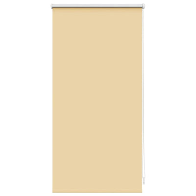 Vidaxl Roller condenado ciego 40 x 100 cm beige