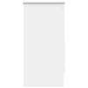 Vidaxl Roller Blind Danning 60 x 120 cm bianco