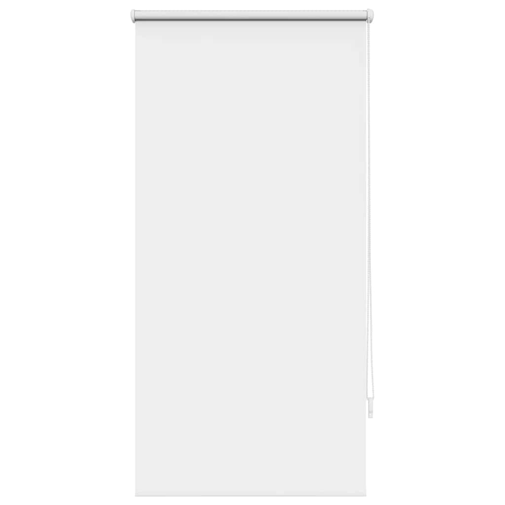 Vidaxl Roller Blind Danning 60 x 120 cm bianco