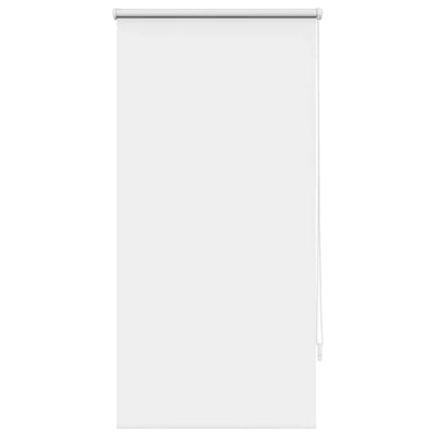 Vidaxl Roller Blind Danning 60 x 120 cm bianco