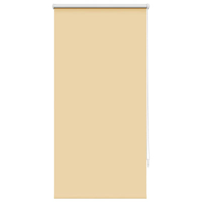 Vidaxl Roller Blind Danning 60 x 120 cm beige