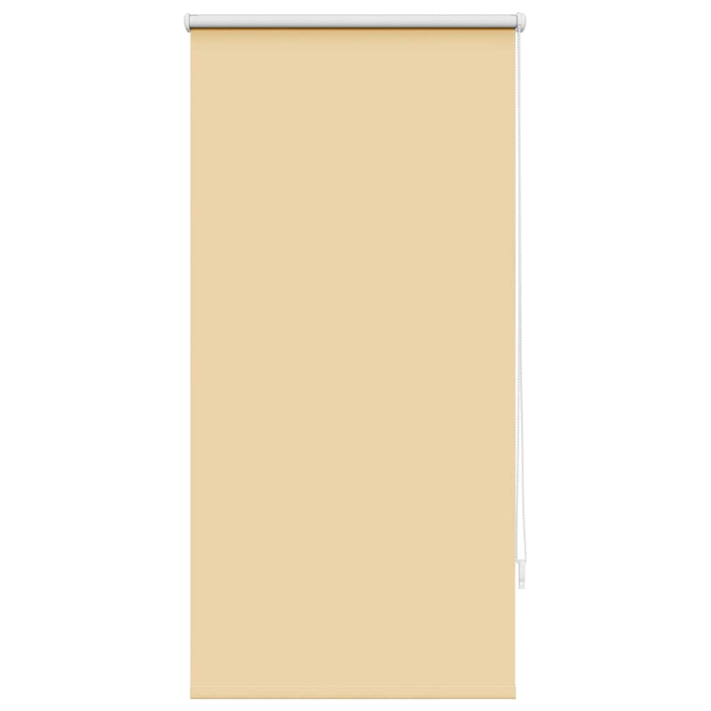Vidaxl Roller Blind Danning 60 x 120 cm beige
