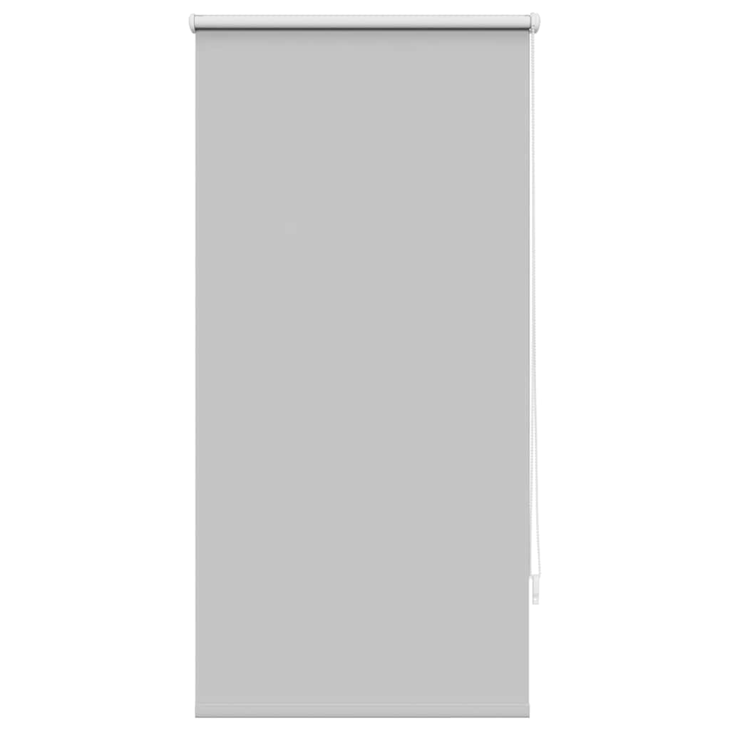 Vidaxl Roller condenado ciego de 60 x 120 cm de gris