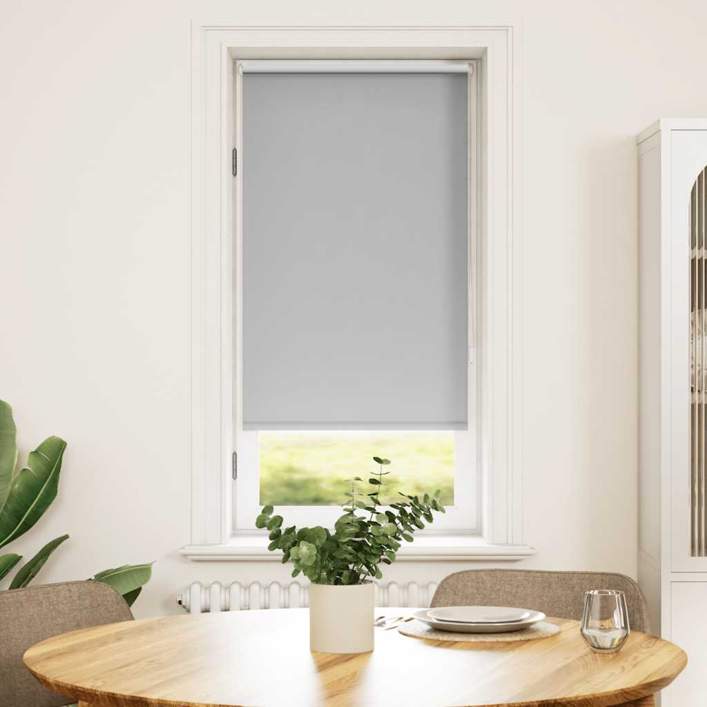 Vidaxl Roller condenado ciego de 60 x 120 cm de gris