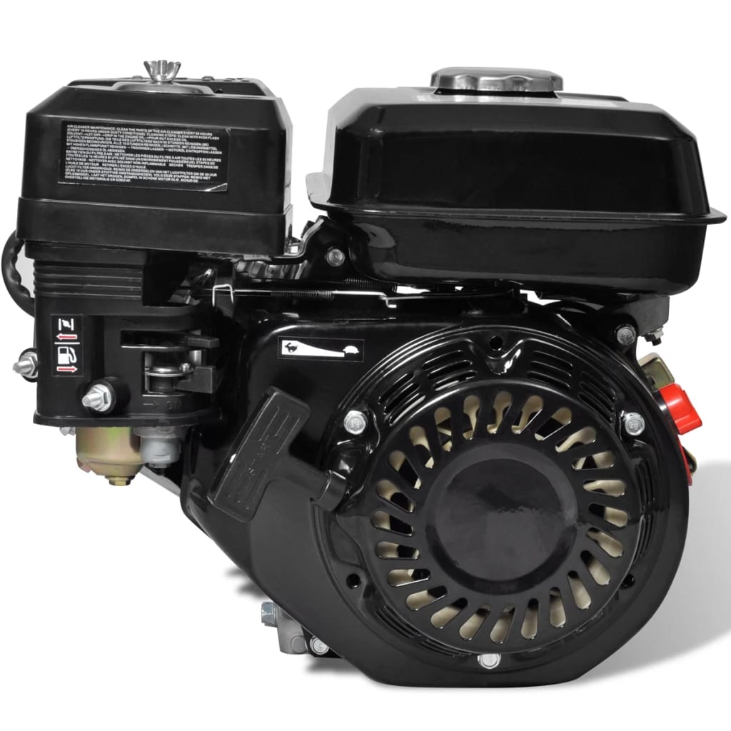 Vidaxl Gasoline Engine 6.5 hp 4.8 kW Negro