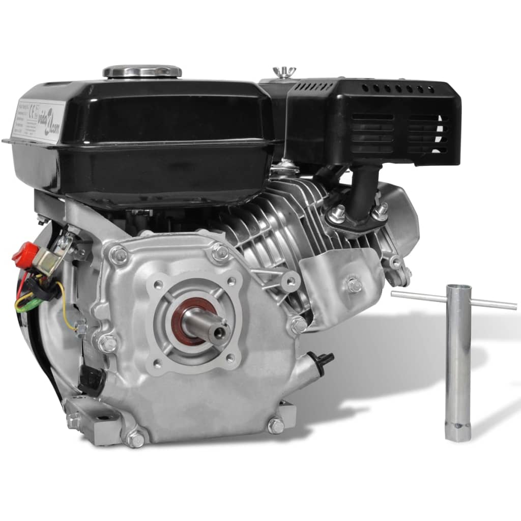 Vidaxl Gasoline Engine 6.5 hp 4.8 kW Negro