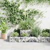 Vidaxl Gabion Planning Box 120x120x20 cm Acciaio zincato