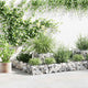 Vidaxl Gabion Planning Box 120x120x20 cm de acero galvanizado