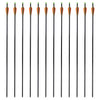Vidaxl frecce composto arco standard 30 0,8 cm in fibra ottica 12 pezzi