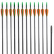 Vidaxl recurveboog standaard met pijlen 30 0,6 cm glasvezel 12 stuks