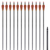 Vidaxl pijlen voor recurveboog standaard 30 0,76 cm koolstof 12 stuks
