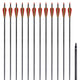 Vidaxl Frecce per Recurvebog Standard 30 0,76 cm Carbon 12 pezzi