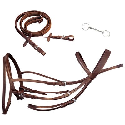 Vidaxl Bridle Leather con banda de nariz combinada, riendas y pony marrón bits
