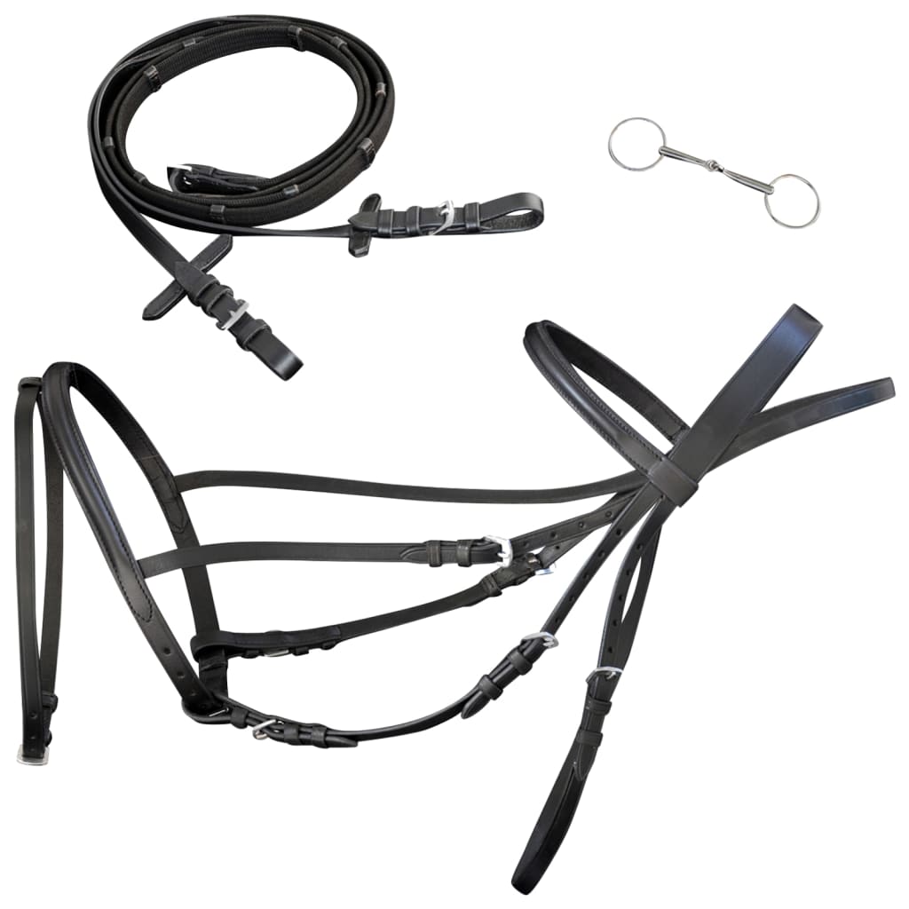 Vidaxl Bridle in pelle con nastro combinato, redini e bit Black Pony
