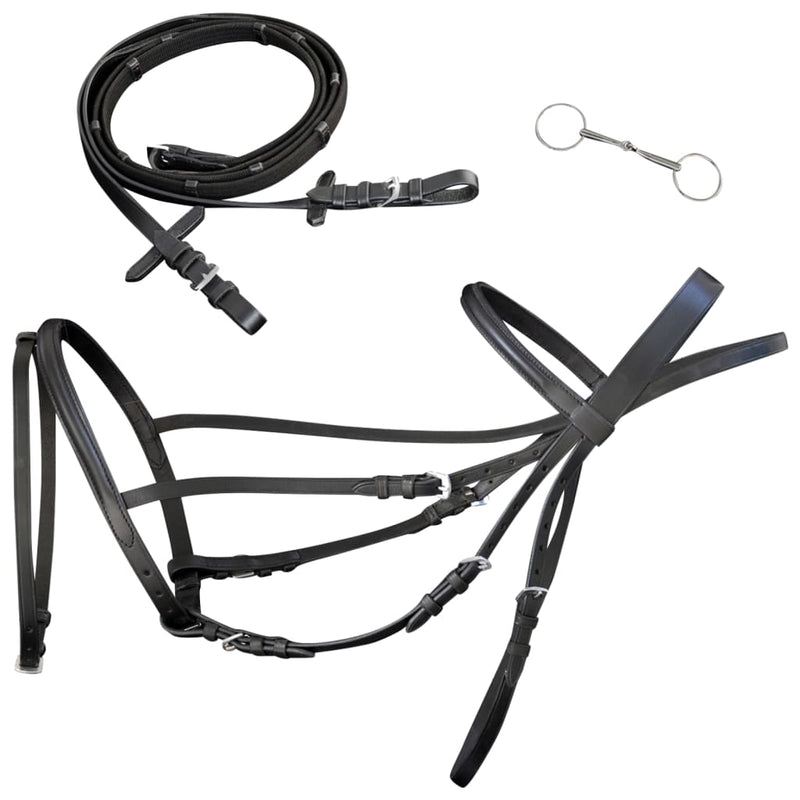 Vidaxl Bridle in pelle con nastro combinato, redini e bit Black Pony
