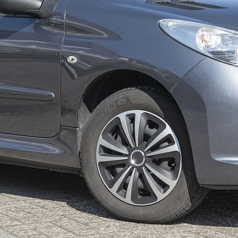 PROPLUS HUBCAPS 4 ST TERRA 16 '' colorato d'argento e nero