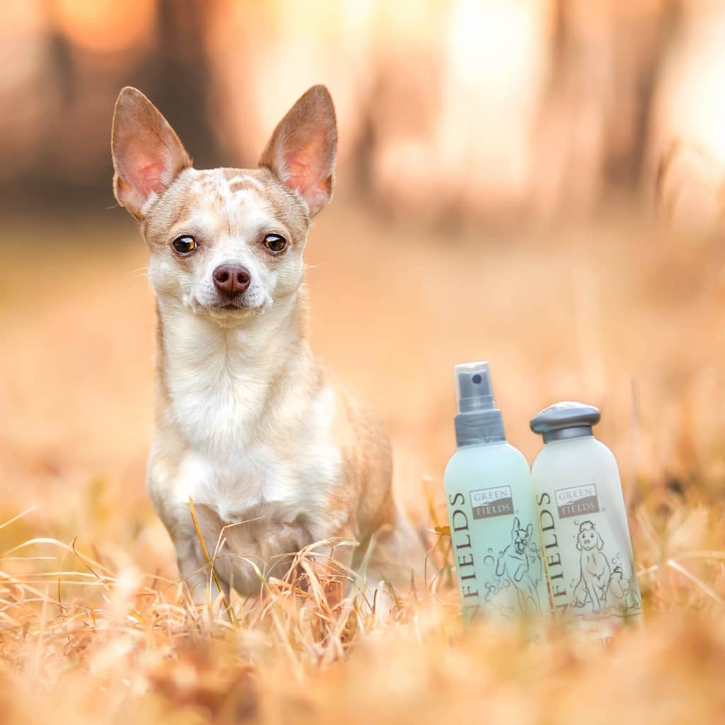 Greenfields Greenfields de cuidado de perros champú y spray 2 x 250 ml
