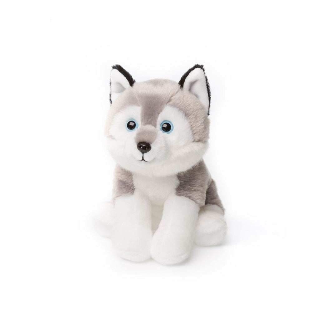 Acp seduto husky 15 cm