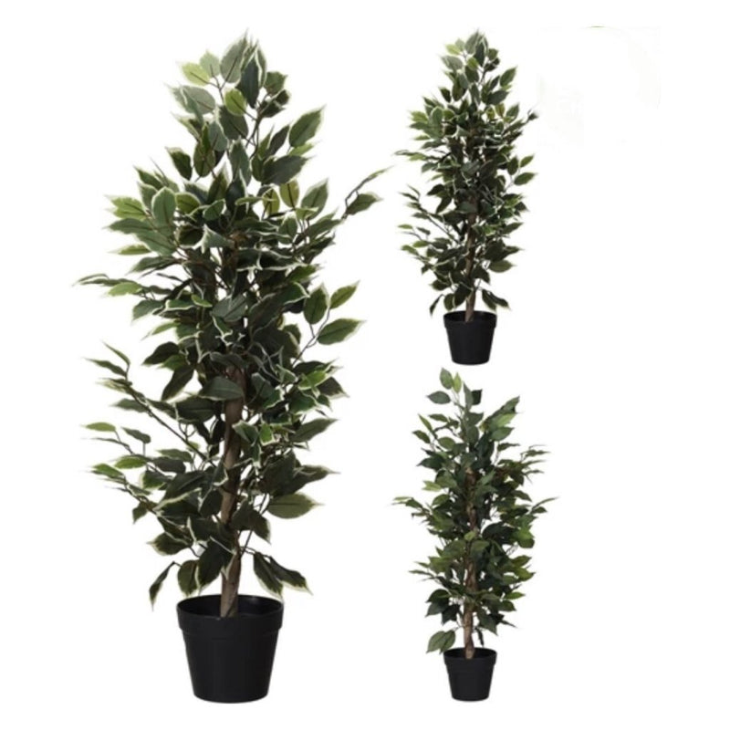 Pianta artificiale ficus di altre marche 95 cm verde bianco