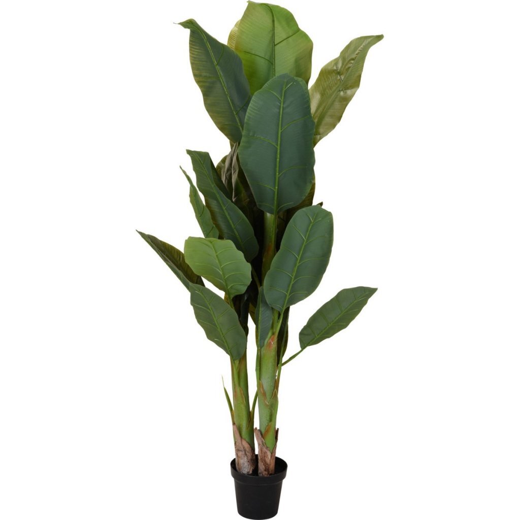 Pianta artificiale banano altre marche 80x165 cm verde