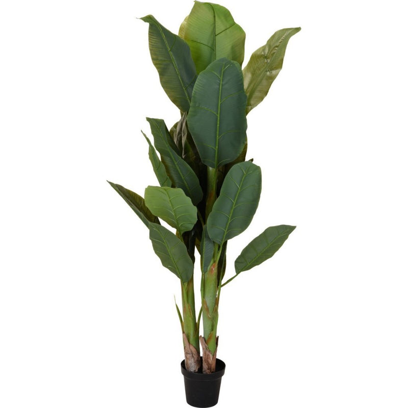 Pianta artificiale banano altre marche 80x165 cm verde