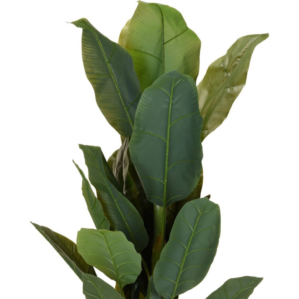 Pianta artificiale banano altre marche 80x165 cm verde