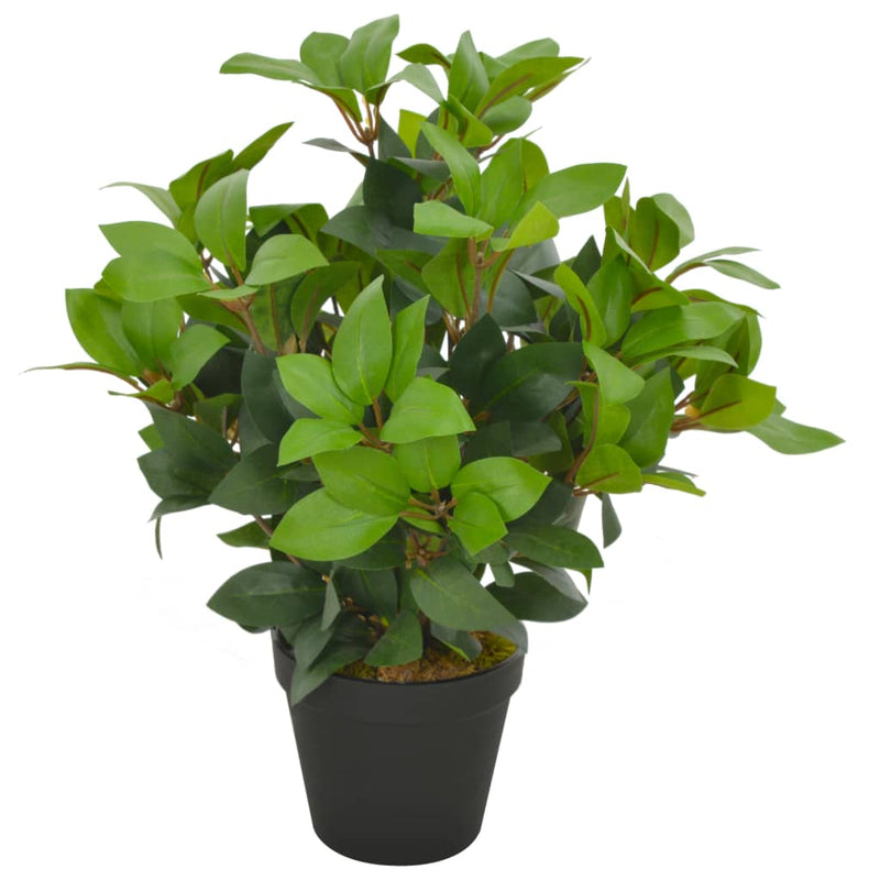 Vidaxl Plant artificiale con albero di alloro piatto 40 cm verde