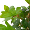 Vidaxl Plant artificiale con pentola di alloro 120 cm verde