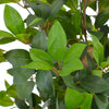 Vidaxl Plant artificiale con albero di foglie di vaso di pentola 150 cm verde
