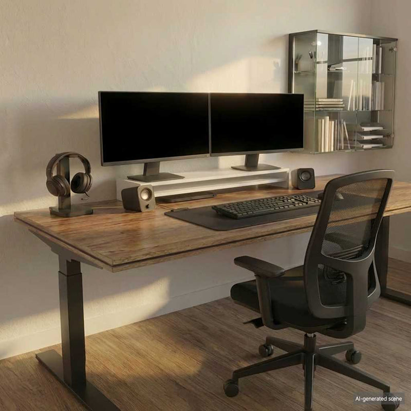 Vidaxl Monitor Standard 100x24x13 cm de madera procesada blanca