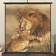 VidaXL Projection screen 1: 1 89 ''