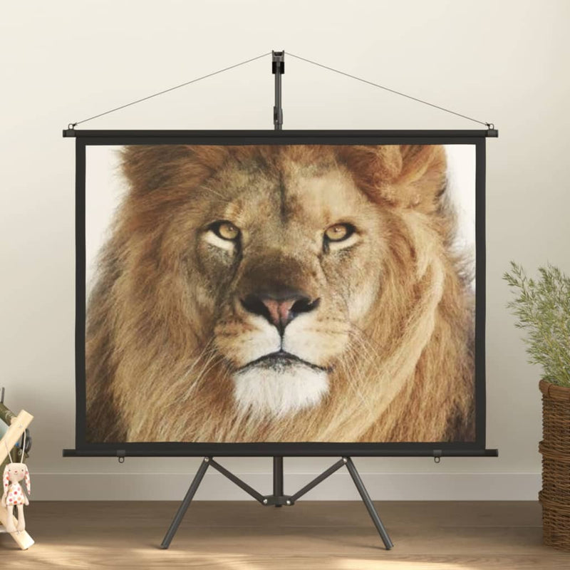 VidaXL Projectiescherm met statief 4:3 60''