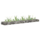 Vidaxl Gabion Planter elevado 180x30x10 cm de acero galvanizado