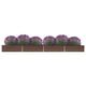 Plantador Vidaxl elevado 600x80x45 cm de acero galvanizado marrón