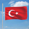 Vidaxl vlag turkije 90x150 cm