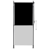 Vidaxl Roller Blind para antracita afuera de 100x270 cm