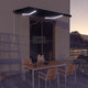 Vidaxl Luifel se puede extender manualmente con antracita LED 350x250 cm