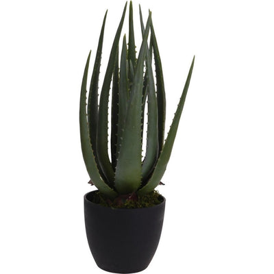 PROGARDEN PROGARDEN PIANTA ARTICIFICA IN POT ALOE VERA 25X45 CM