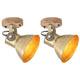 Vidaxl wand- plafondlampen industrieel 2 st e27 20x25 cm messingkleur