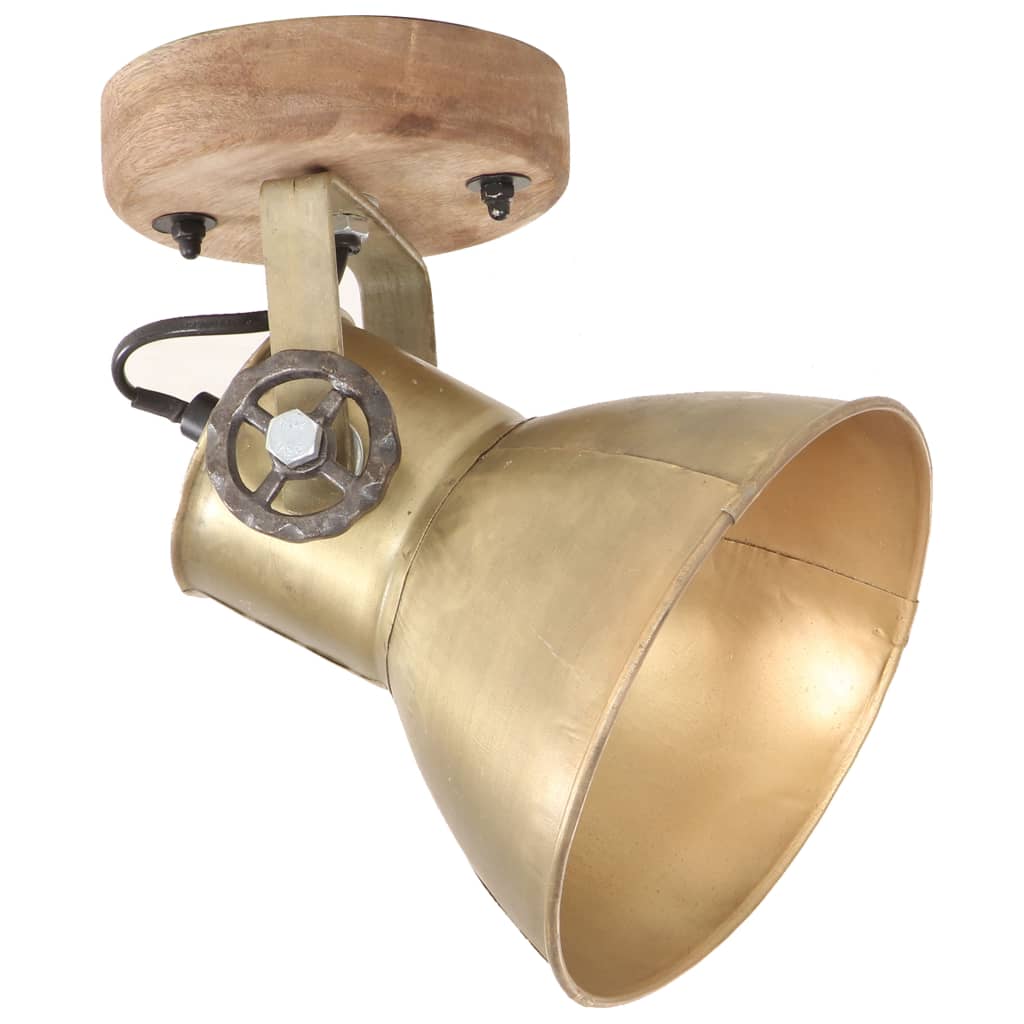Vidaxl wand- plafondlampen industrieel 2 st e27 20x25 cm messingkleur