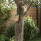 Vidaxl Bird Houses 10 pcs 12x12x22 cm de pino sólido