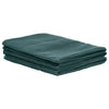 Vidaxl Tent Tappet 250x450 cm Verde