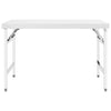 Vidaxl keukenwerktafel inklapbaar 120x60x80 cm roestvrij staal