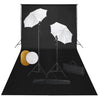 Vidaxl Photo Studio Set con lampade, ombrelli, sfondo e riflettore