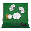 Vidaxl Photo Studio Set con lampade, ombrelli, sfondo e riflettore