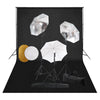 Vidaxl Photo Studio Set con lampade, ombrelli, sfondo e riflettore